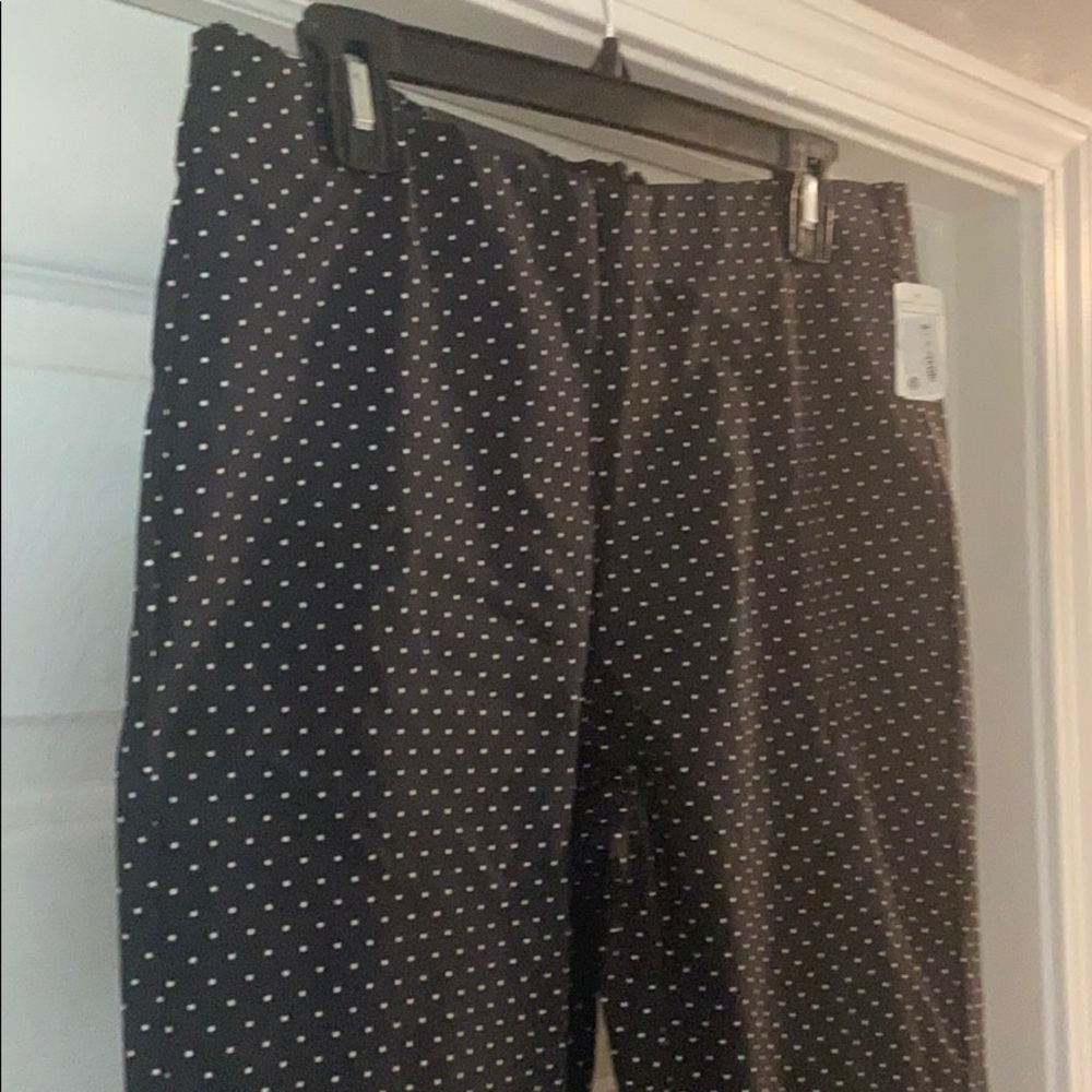 Women’s dress pants